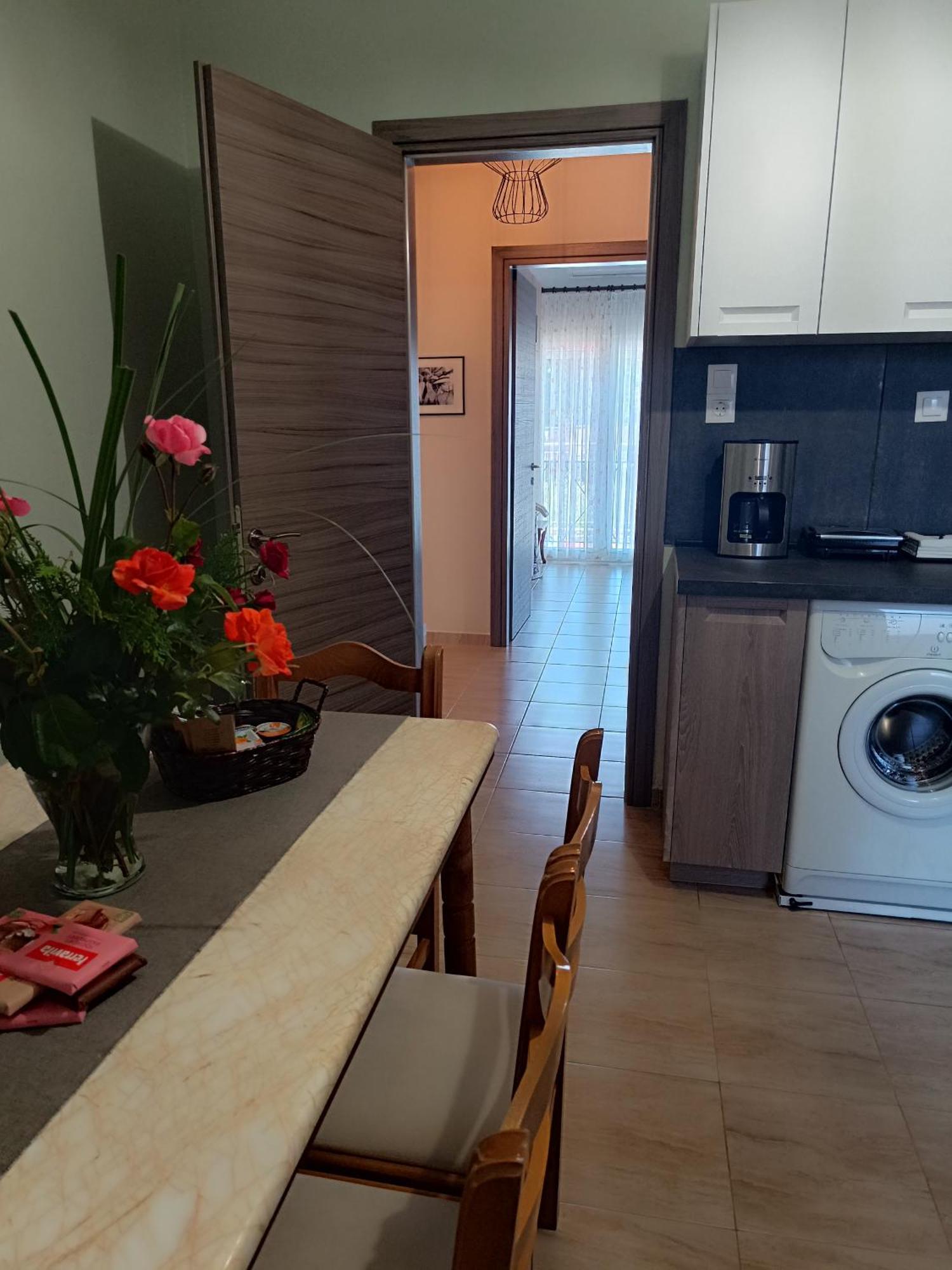 Panos House - High Luxury Apartment Трикала Екстер'єр фото